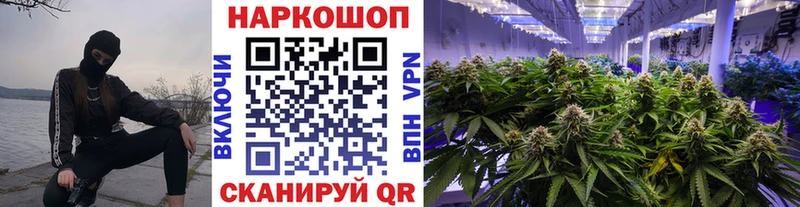 Меф Лодейное Поле