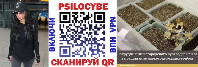 Псилоцибиновые грибы мухоморы  это клад  Лодейное Поле 